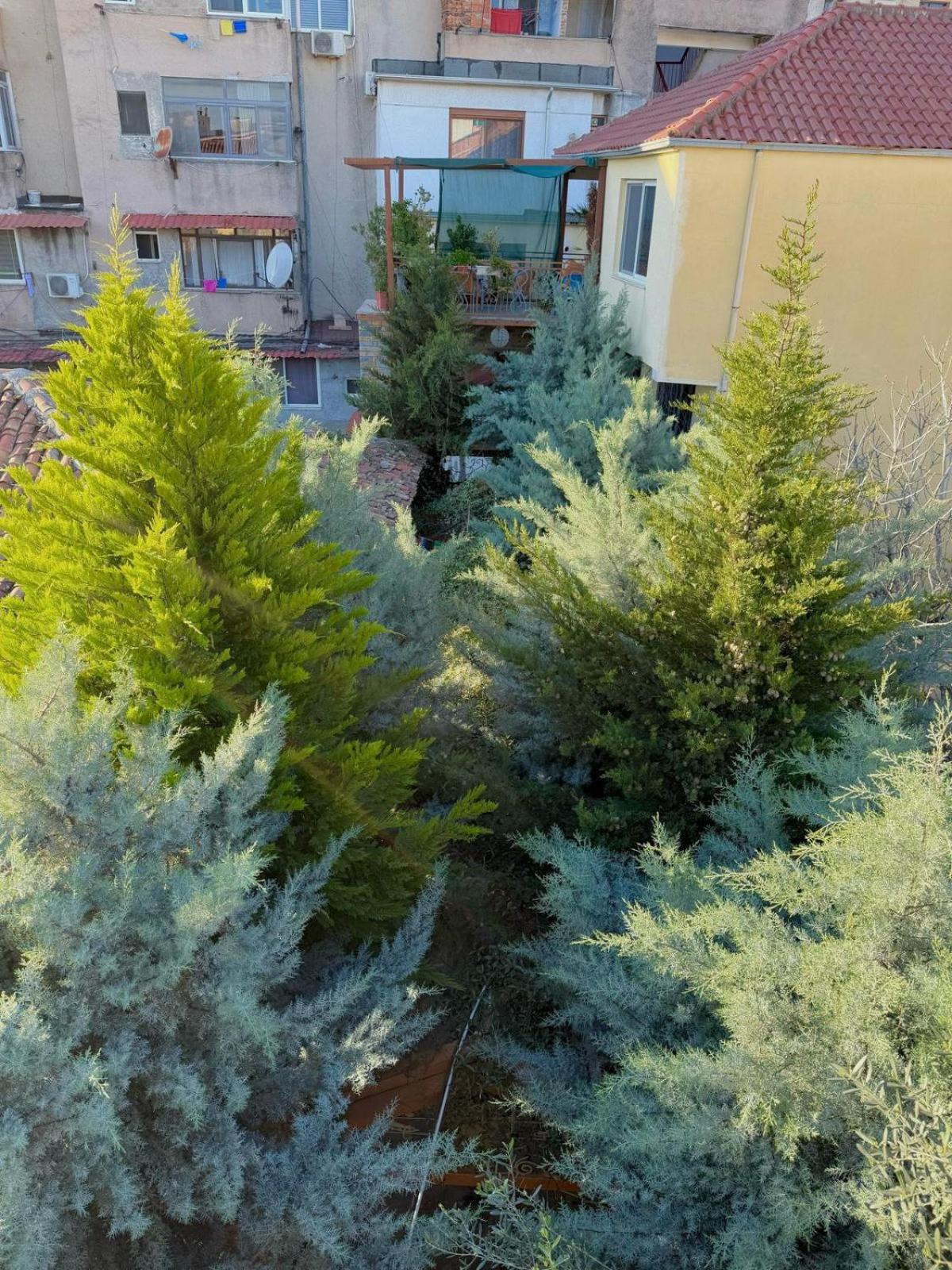 Shkodra Guest House & Trips المظهر الخارجي الصورة