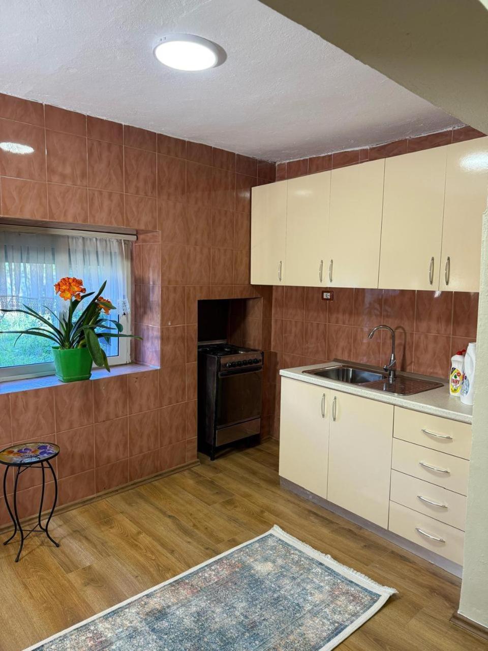 Shkodra Guest House & Trips المظهر الخارجي الصورة